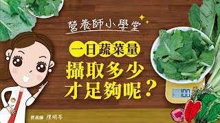 【馬可先生營養師】營養師小學堂-一日蔬菜量攝取多少才足夠呢? 