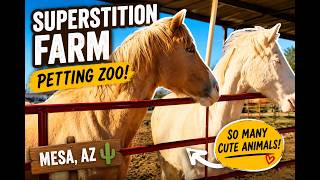 Best Petting Zoo in AZ? | Superstition Farm Tour & Animal Encounter