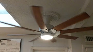Fanimation Levon Custom DC (1st Gen Rhine) Ceiling Fan Runup to High Speed - From Ze Archives