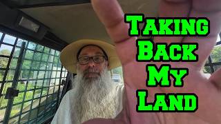 Ooo, A YELLOW BIRD | TAKING BACK MY LAND from Overgrowth