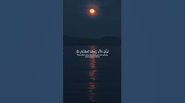 فَبِأَىّ ءَالَآءِ رَبِّكُمَا تُكَذِّبَانِ - ياسر الدوسري - سورة الرحمن