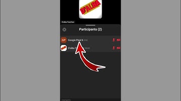 How To Change Name On Zoom While In a meeting