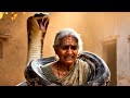 Anaconda snake attack on village woman | Anaconda | Animals market | Bullogmast,Canachow.