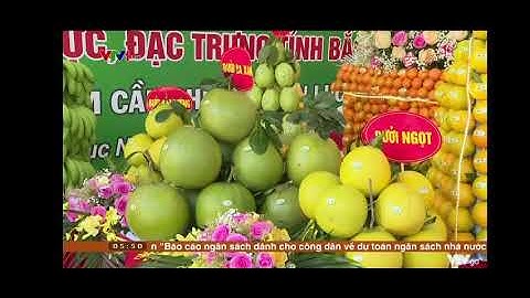 Hội nghị xúc tiến Cam, bưởi Lục Ngạn năm 2021