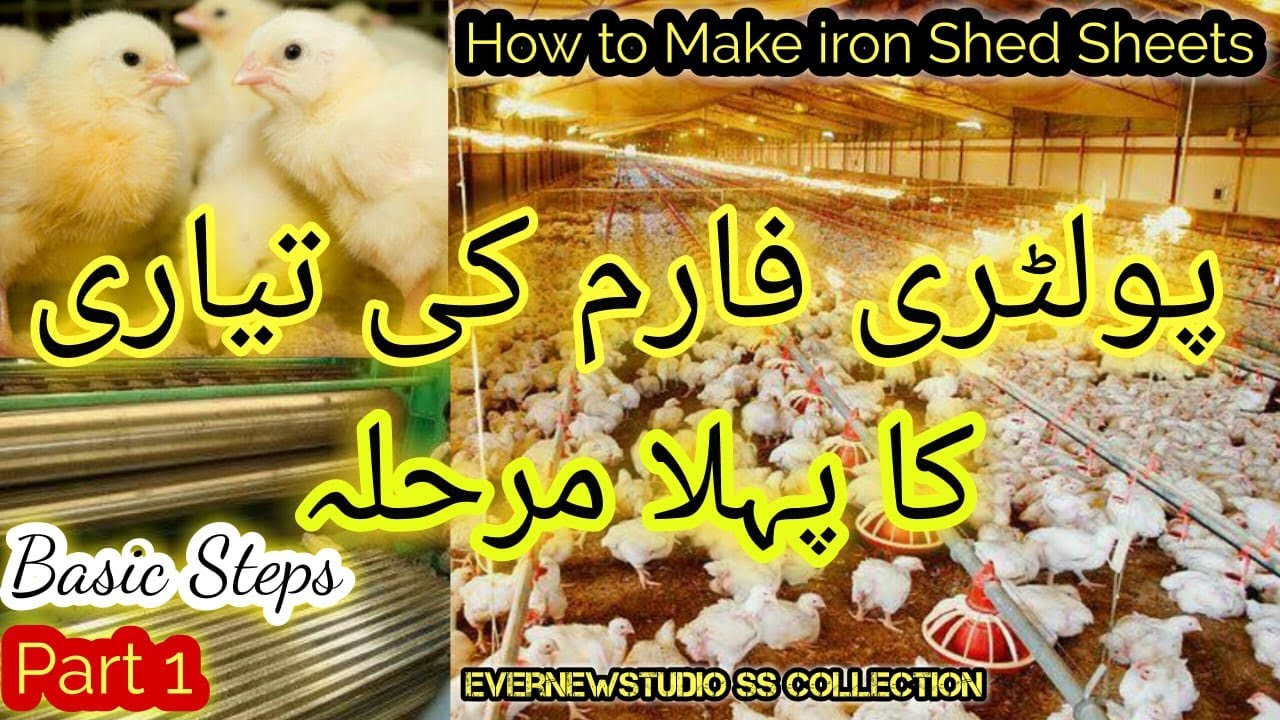 How to make broiler shed How to make poultry farm in pakistanBarrel Corrugation Machineiron