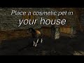 LOTRO: Placing a cosmetic pet in your house