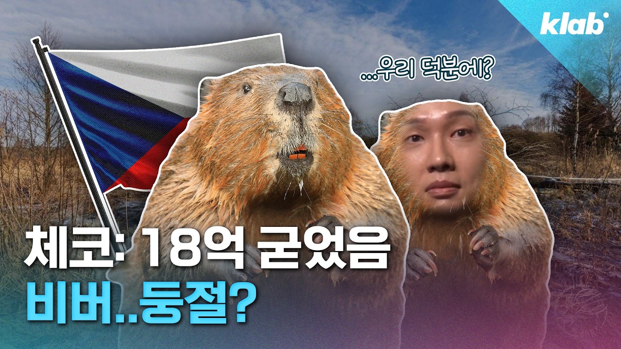 세금 18억 아껴줌…비버는 왜 댐 짓기에 진심인 걸까｜크랩