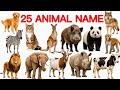 25 Animals Name English & Hindi | बच्चों के लिए जानवरों के नाम | Kids Educational Video | 25 Animals