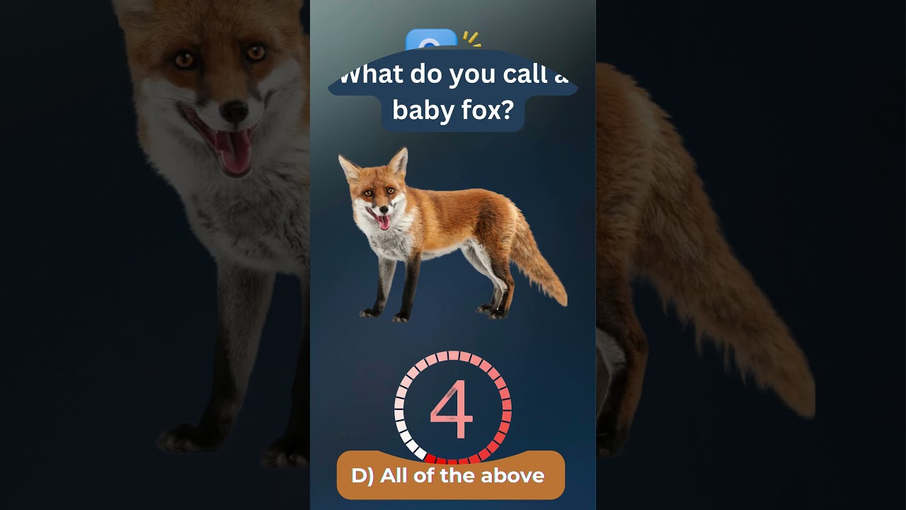 What's the REAL Name of a Baby Fox?