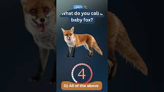 Whats The Real Name Of A Baby Fox?