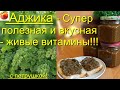 Аджика супер закуска Живые витамины без варки с Перца и Петрушки