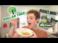 DOLLAR TREE FAMILY DINNER! CHEAP &amp; DELICIOUS RECIPE BUDGET FRIENDLY MEAL!