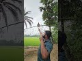 #hawk #hunting #animals #viral