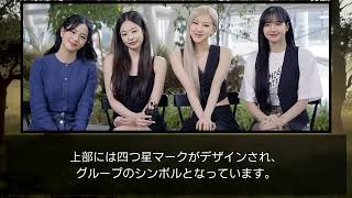 BLACKPINK　グッズ．【ペンライト】華やかな光のエージェント