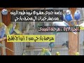 دراسة جدوى مشروع تربية طيور الزينه الجزء الاول مرحلة المبتدئين و ازاي تعمل مزرعة بادجي من 3 ازواج