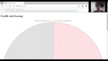 Codeigniter 3 - Plugin Chart.js membuat pie chart