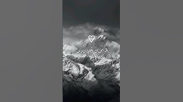 سورة الضحى🤍الشيخ ماهر المعيقلي حالات واتس اب #quran #ماهر_المعيقلي #قرآن #quran #islam #islamic
