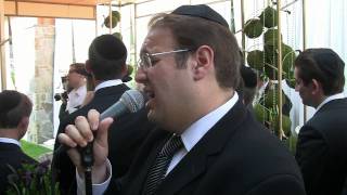 Miniatura de vídeo de "Eli Schwebel Singing At A Chupa With The Shloime Dachs Orchestra At The Tarrytown Doubletree.mp4"