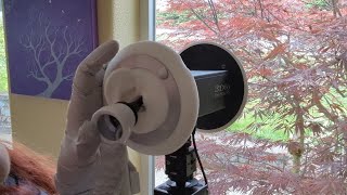 ASMR - Ear Cleaning and Evaluation Roleplay - Gloves, Palpating, Picking, Washing, Wiping, Measuring