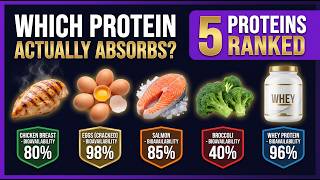 Top 5 Proteins Ranked by Bioavailability — The Score That Actually Matters