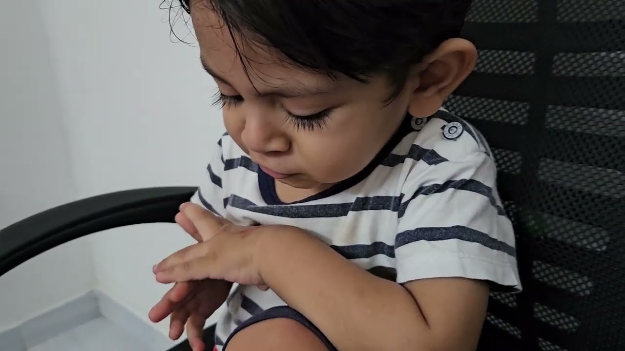 buy shark do dododo mmm