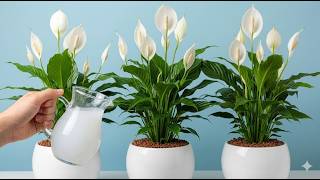 Just One Gl Makes Any Plant Explode With Growth & Flowers