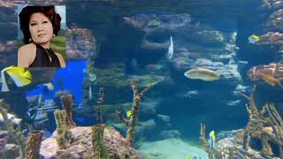 Harapan yang musnah.... Album kenangan Elvie Sukaesih (Lirik lagu)