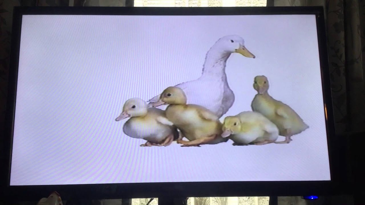 Closing to Baby BumbleBee 123 Volume 2 VHS - YouTube