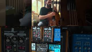 Preamp: Schertler-YellowBlender. Delay: Strymon-TimeLine. Reverb: Strymon-BigSky