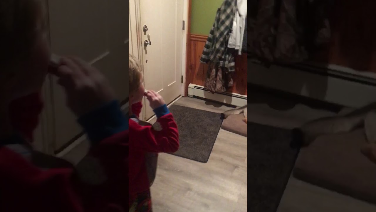 Singing dog part2 - YouTube