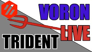 Voron Trident - LDO Motors Kit Build -PART 5 - LIVE - Chriss Basement