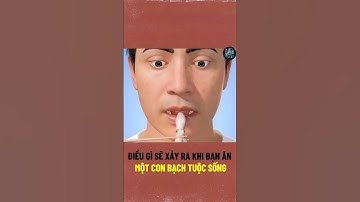 Nuốt Một Con Bạch Tuộc Sống Sẽ Ra Sao? #khoahoc #cothebanchuabiet #khampha