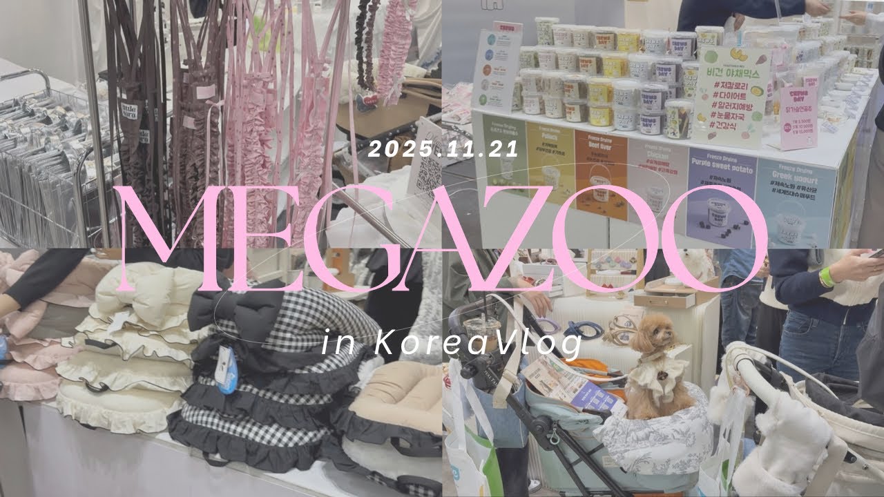 【犬イベント】韓国出張で犬グッズ爆買い！！MEGAZOOの出展店舗一挙紹介🇰🇷🤍　kpet fair/韓国犬イベント/ペットイベント/ショッピングvlog