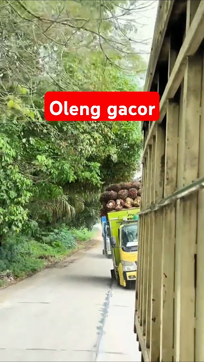 truk oleng tipis tipis #automobile #trukoleng #storywa #pejuangrupiah #beranda #truktertua