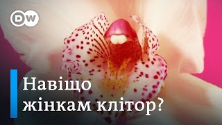 Клітор - жіночий пеніс? Гінеколог про секрети жіночого оргазму | DW Ukrainian