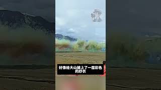 盛大的烟火#搞笑 #搞笑小品 #搞笑配音 #搞笑影片 #搞笑视频