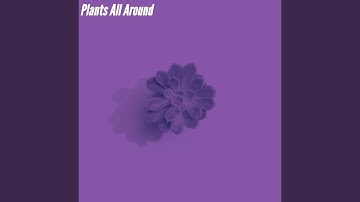 Scintillating Backdrops for No Stress Chilling