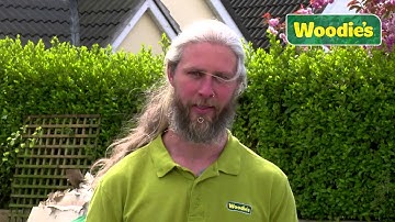 Rendering a Block Wall by Kevin Williams