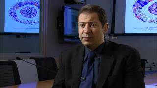 Faculty Profile: Noshir Contractor