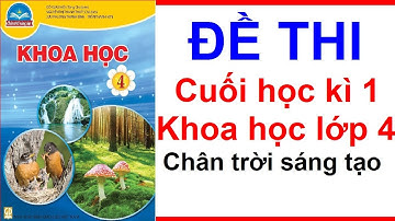 Đề Thi Cuối Học Kì 1 Khoa Học Lớp 4 | Năm Học 2023 2024 | Chân Trời Sáng Tạo
