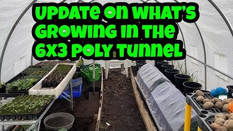 Update in the 6x3 poly tunnel