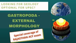 GASTROPODA (Mollusca) External Morphology | Geology (Palaeontology) #UPSCGeologyOptional #RPSC #ACF screenshot 4