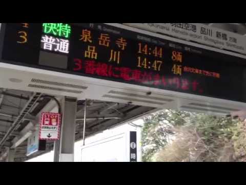 かもめが翔んだ日帰