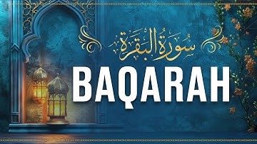 سوره بقره کامل 🕋 | دل نشین ترین تلاوت قرآن | برای صلح روزانه گوش کنید 💕