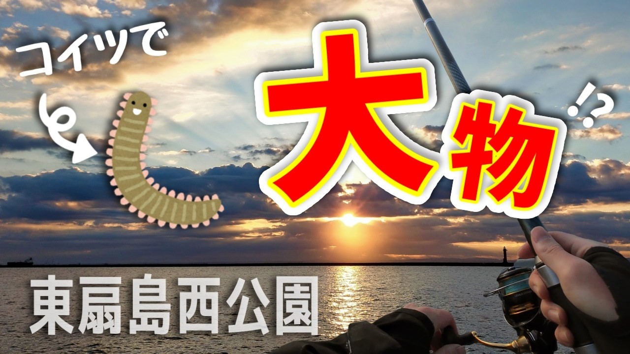 【ド定番エサで⁉】アジとデカ○○が釣れる！新春ちょい投げ＆サビキ釣行【東扇島西公園】