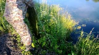 Чем чистить водоросли в месте ловли рыбы