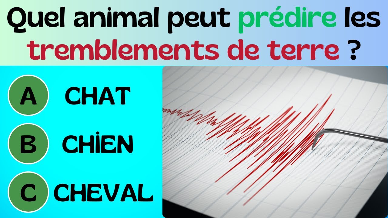 🧠 30 Questions INCROYABLES de Culture Générale – Es-tu Assez Curieux pour Répondre ?