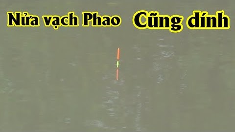 Câu thử bài mồi diếc mới, gặp cá ăn nửa vạch phao, cận cảnh phao câu đài