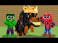 Monster School : Baby Hulk Have a Mutant Dog - Sad Story - Minecraft Animation