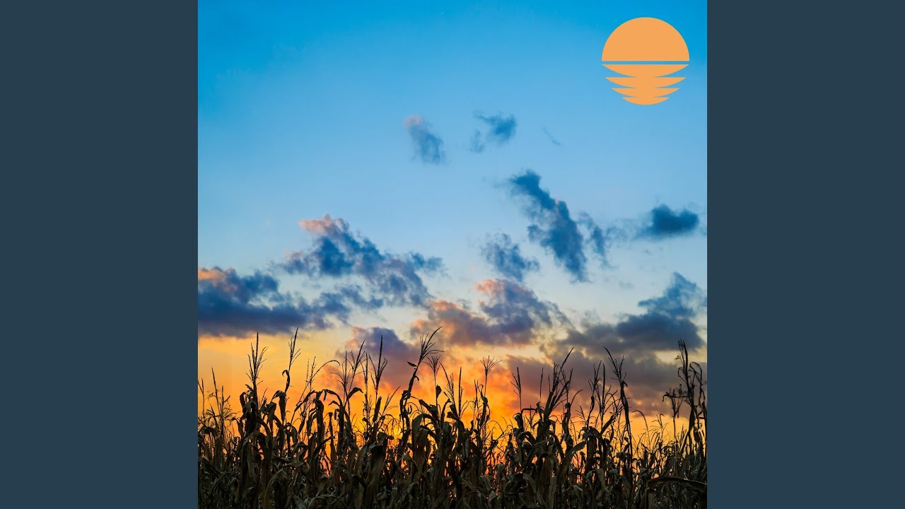 Yellowwood Forest (Rain)